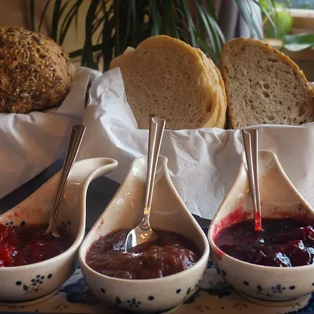 Bed & Breakfast Willa Zima Twoje Wyjatkowe Miejsce W Bukowinie Tatrzanskiej